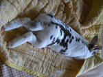 koharua055.jpg