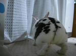 koharua075.jpg