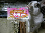 koharua120.jpg