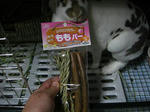 koharua123.jpg
