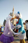 IMG_5887.JPG