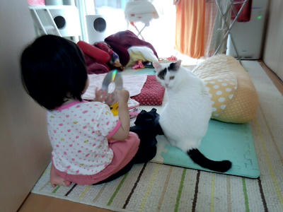 平成24年6月22日 失敬 ドヒューンだにゃ 愛猫ちゅんたろ育児記録
