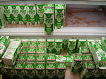 midori.jpg