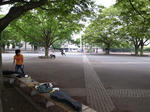 yoyogi1.jpg