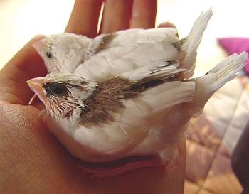 はじめまして～