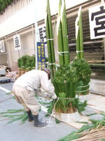 DSCF0245.JPG
