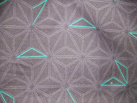 DSCF2704.JPG