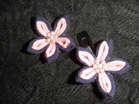 DSCF2729.JPG