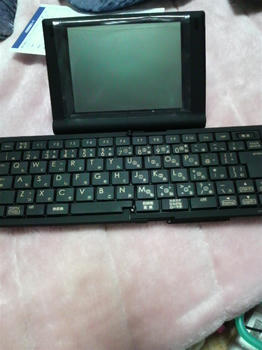 2010030419160001.jpg