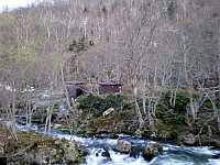 7-IMGP0145.jpg
