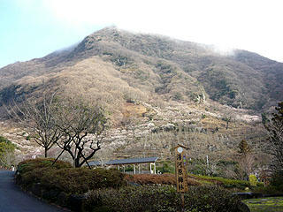 P1010672bd.jpg