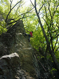 P1010776bd.jpg