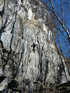 P1020086bd.jpg
