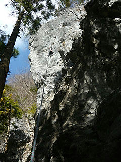 P1020128bd.jpg
