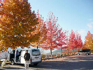 P1030826bdjpg.jpg