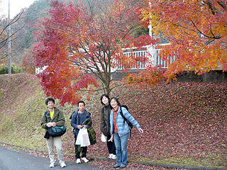 P1030845bd.jpg
