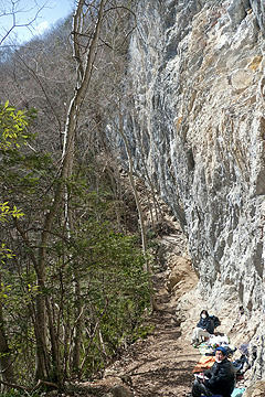 P1000861bd.jpg