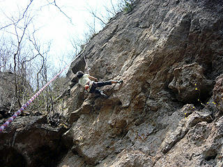 P1040143bd.jpg