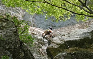 aP1000016.jpg
