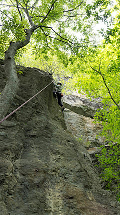 aP1000058.jpg