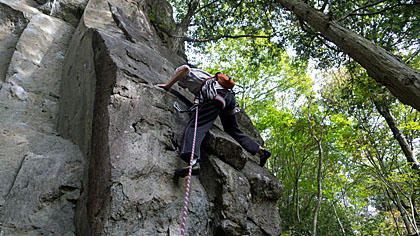 aP1000315.jpg