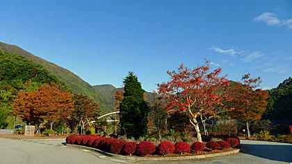 aP1000319.jpg