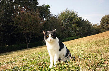 111102bd.jpg