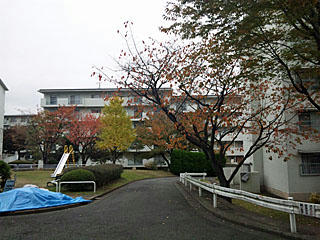 a111118_111338.jpg