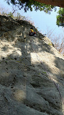 aP1000345.jpg