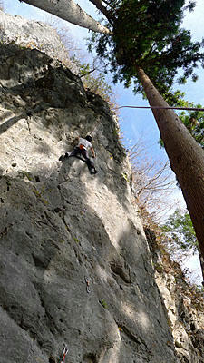 aP1000339.jpg