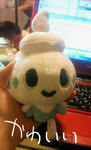 201109011814001.jpg