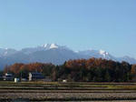 DSC06050-w260.jpg