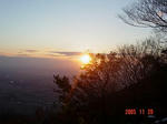 49024caa.jpeg