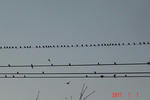 2289cd1b.jpeg