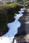 11.04.13huyumoyou1-v560.jpg