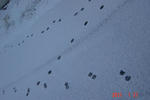 11.04.13huyumoyou3-w560.jpg