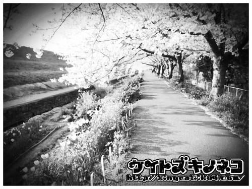 IMGP0208.JPG