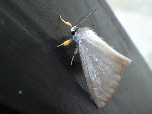 CA3A0654.jpg