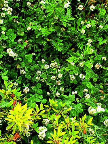 CA3A0571.jpg