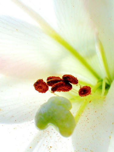 01CA3A3295_3.jpg