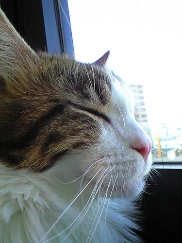 01mei_CA3A3874.jpg