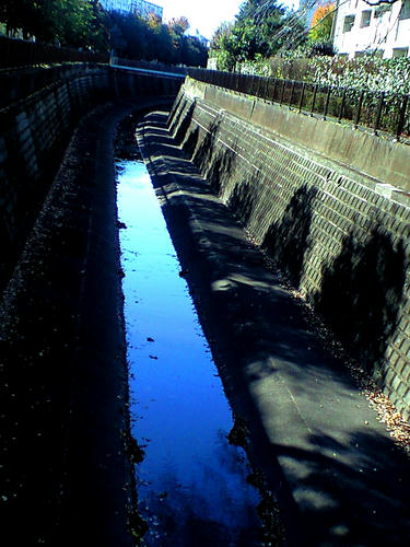 CA3A4897.jpg