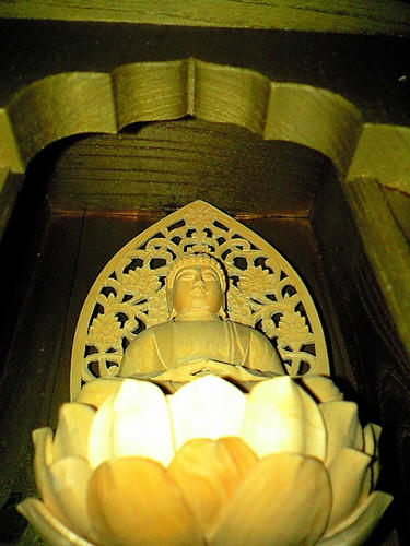CA3A4930.jpg