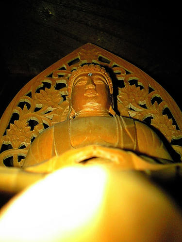 CA3A4938.jpg