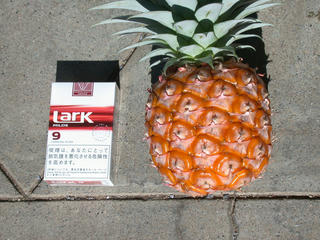 Pineapple_Sizehikaku_up.JPG