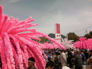 s-080412_hanamikoshi_05.jpg