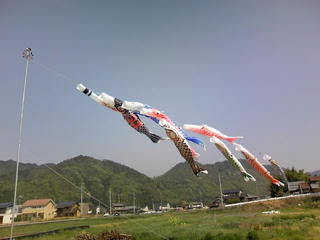 s-koinobori_01.jpg
