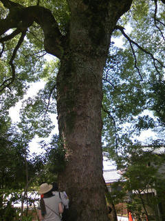 s-ookusu_03.jpg