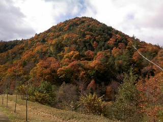 s-081130_kouyou.jpg