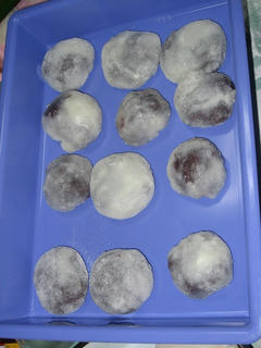 s-081228_mochitsuki_01.jpg